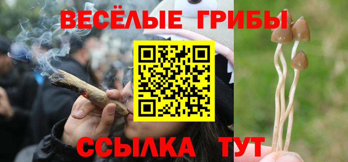 Галлюциногенные грибы мицелий  Галлюциногенные грибы GOLDEN TEACHER  Вход с VPN  хочу наркоту  Гуково 
